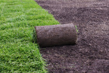 Landscaping in Ada and Grand Rapids, MI