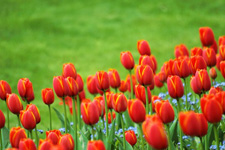 Property Management Ada, MI