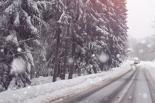 landscape design ada mi