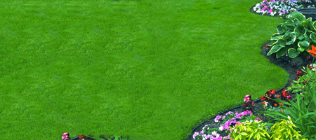 Landscaping in Ada and Cascade MI